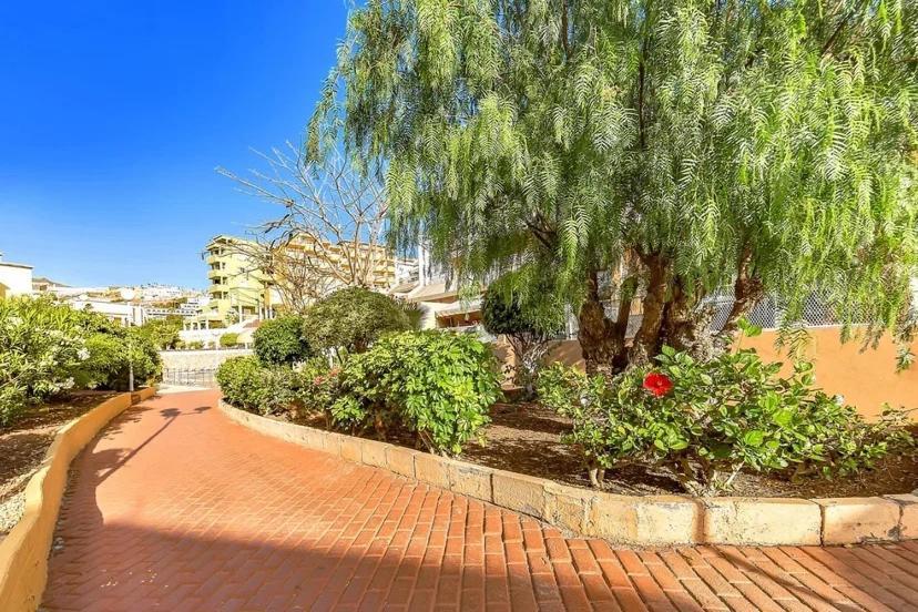 Tenerifeopenhome Costa Adeje Comfort Apartment 3 Pools Kültér fotó